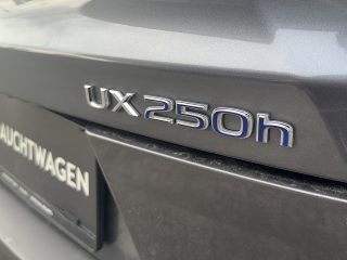 Lexus UX 250h Business + EXTRAS!